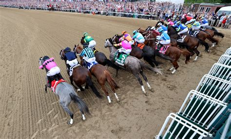 sbrforum horse racing.